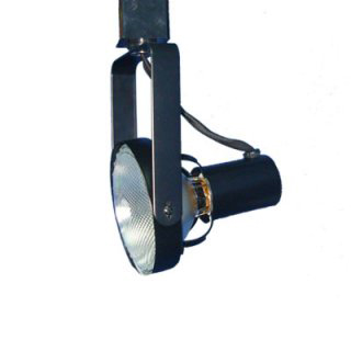 Line Voltage Track Light Fixture