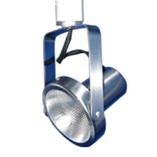 Line Voltage Track Light Fixture