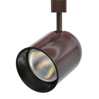 Line Voltage Track Light Fixture