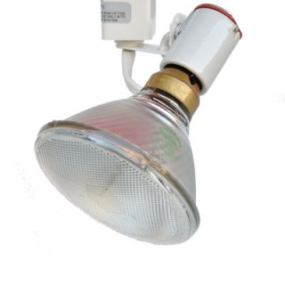 Line Voltage Track Light Fixture