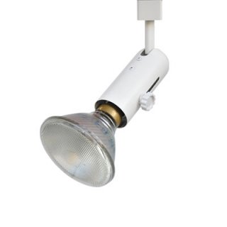 Line Voltage Track Light Fixture