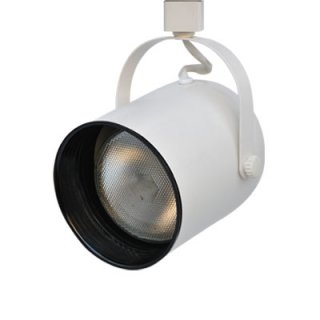 Line Voltage Track Light Fixture