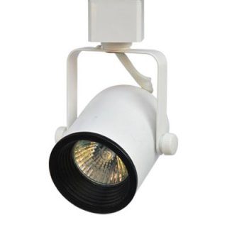 Line Voltage Track Light Fixture
